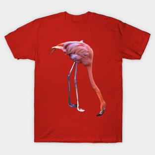 Pink Flamingo Mirage T-Shirt
